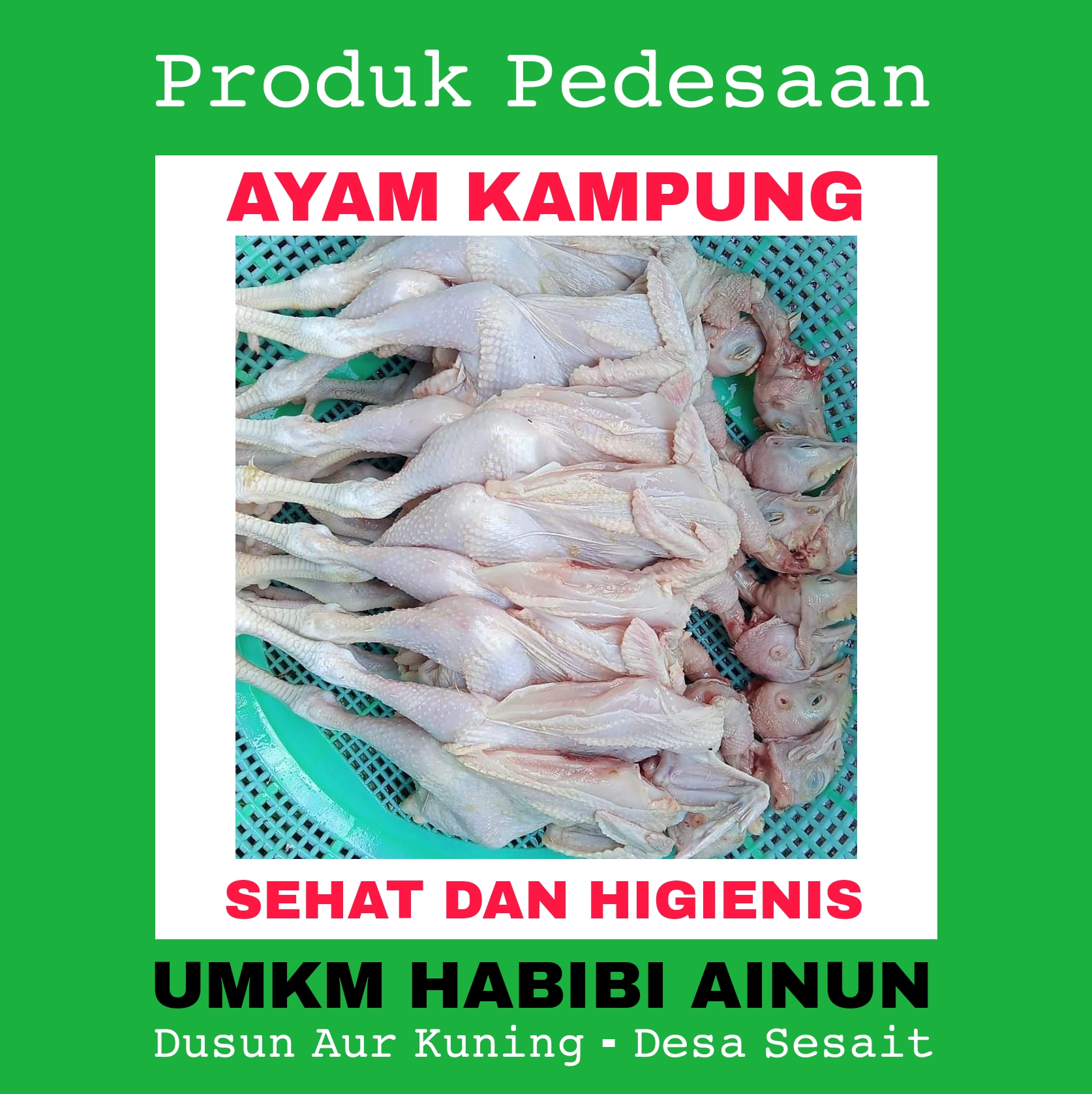 Ayam Kampung Higienis